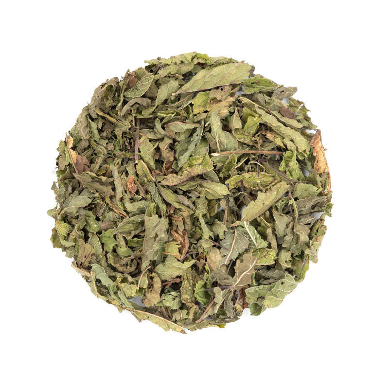 Tisane bio de menthe douce