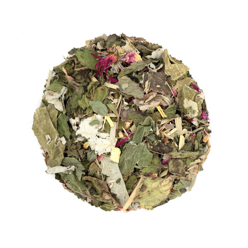 Organic herbal tea - Spring salsa