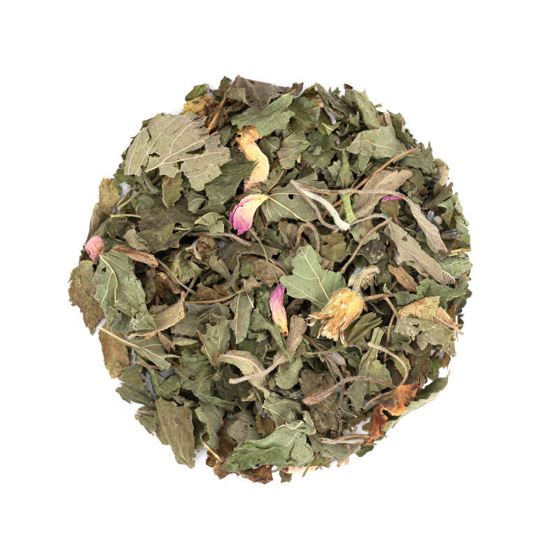 Relaxing herbal tea with lemon balm and lavender - A woman naturally