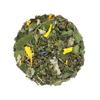 Tisane de plantes bio pour le petit déjeuner - Petit déjeuner