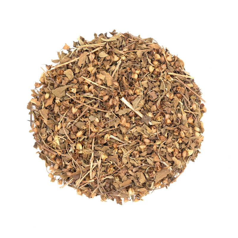 Tisane de plante bio aux vertus respiratoires - Tulsi