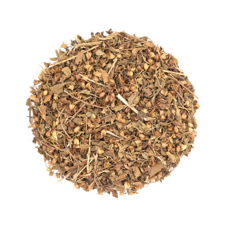 Tisane de plante bio aux vertus respiratoires - Tulsi Tisane de plante bio aux vertus respiratoires - Tulsi