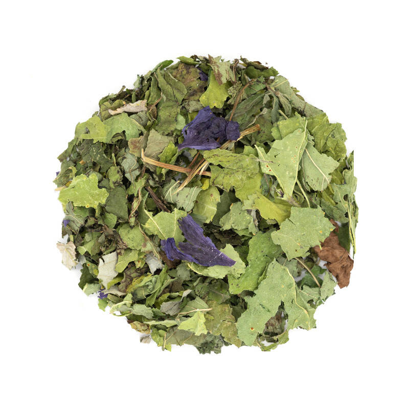 Infusion de plantes pour le bien-être - Fontaine de jouvence