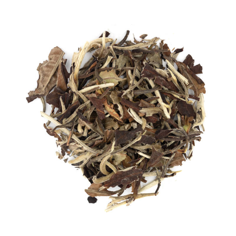 Thé blanc bio de Chine - Yue Guang Bai Yunnan