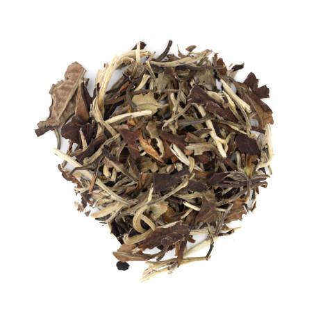 Organic white tea Yue Guang Bai Yunnan - Moon white reflection Organic white tea Yue Guang Bai Yunnan - Moon white reflection