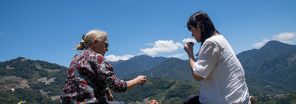 Teas from Taiwan - An exceptional selection