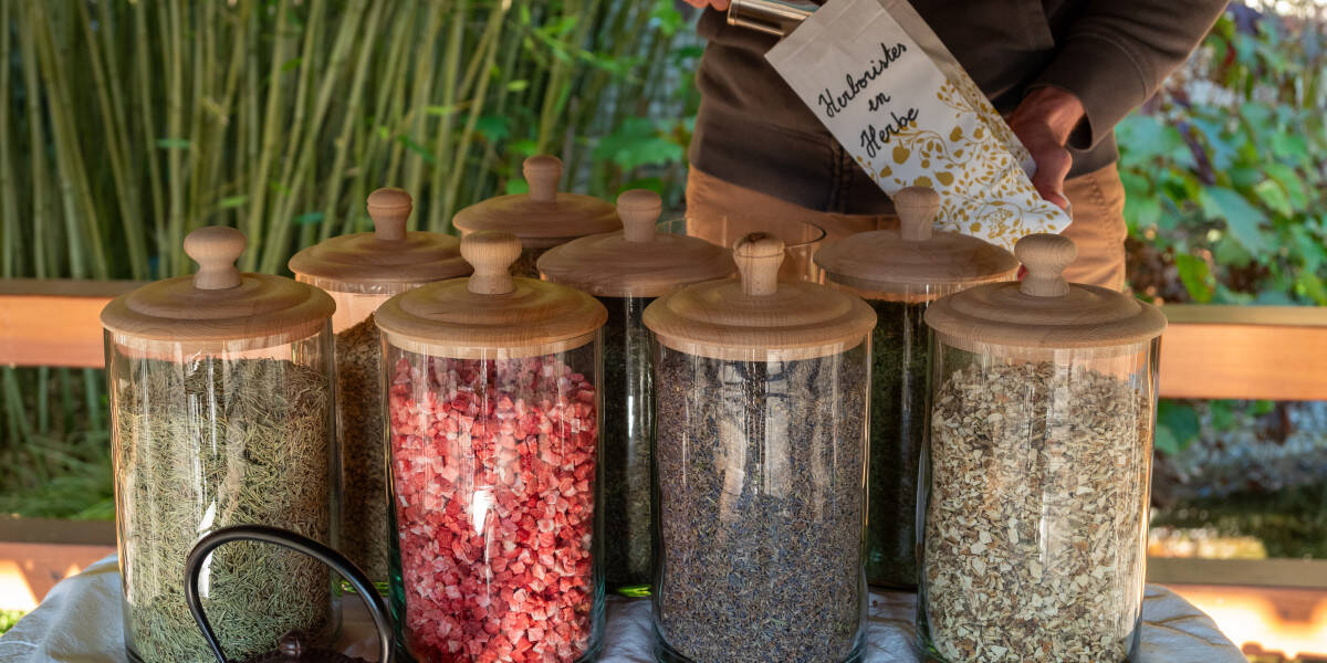 Atelier - Herboristes en herbe jarres de plantes à infuser
					                    