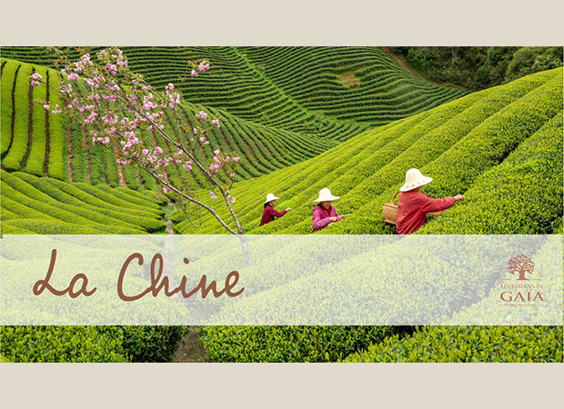 Vidéo Voyage en Chine