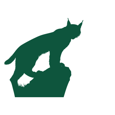 SFEPM - L'esprit de la forêt - Illustration côté
                                    