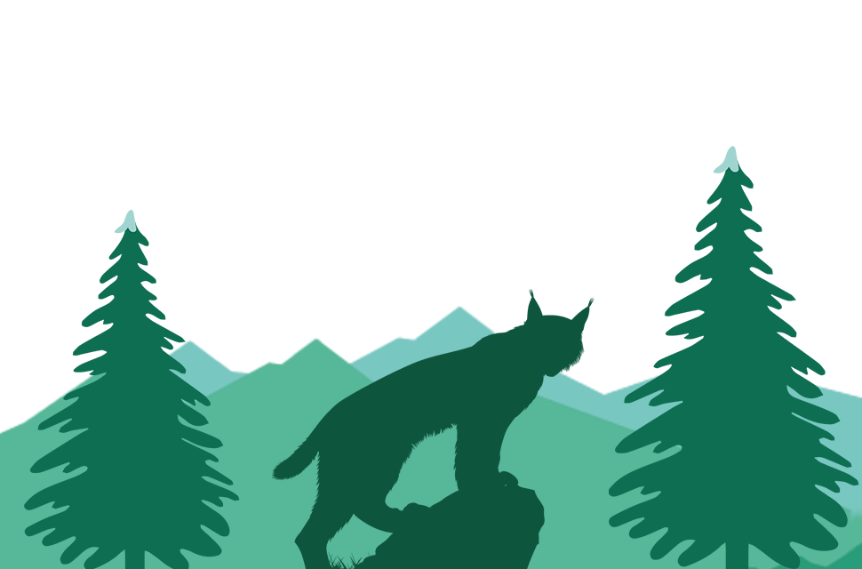 SFEPM - L'esprit de la forêt - Encart illustration
                              