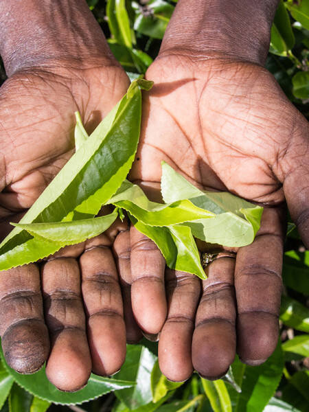Landing Fidélité 2
	                    