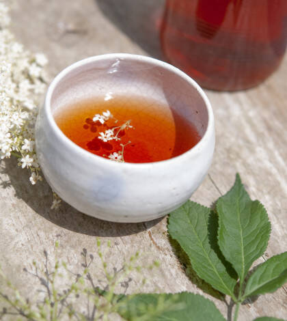 Slider Infuser la nature
												