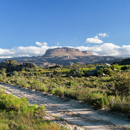 Paysage Afrique du Sud
			                    