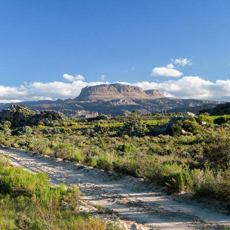 Paysage Afrique du Sud
			                