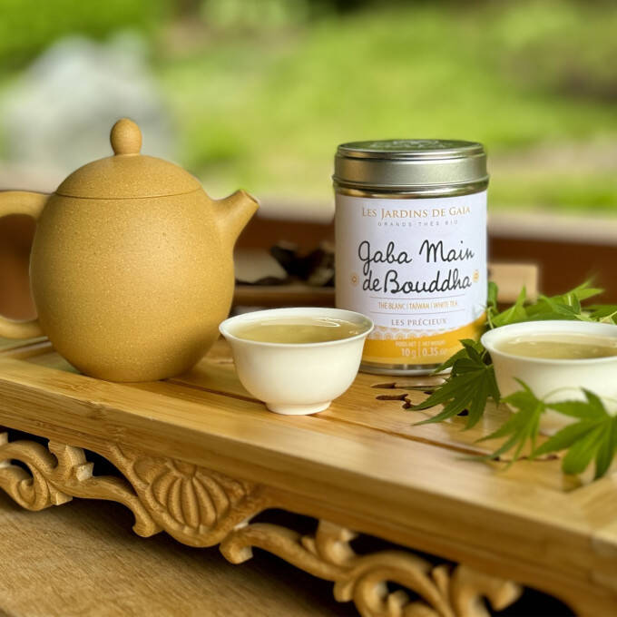 TB310 - Gaba Blanc Main de Bouddha  -  Ambiance - Pack 2025
			                    