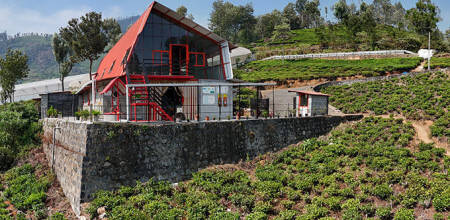 Nilgiri Teas - Les Jardins de Gaïa