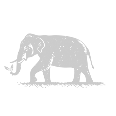 Picto Thé de Thaïlande Eléphant Centré