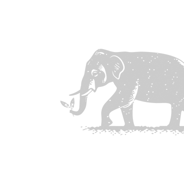Picto Thé de Thaïlande Eléphant Décalé
                                    