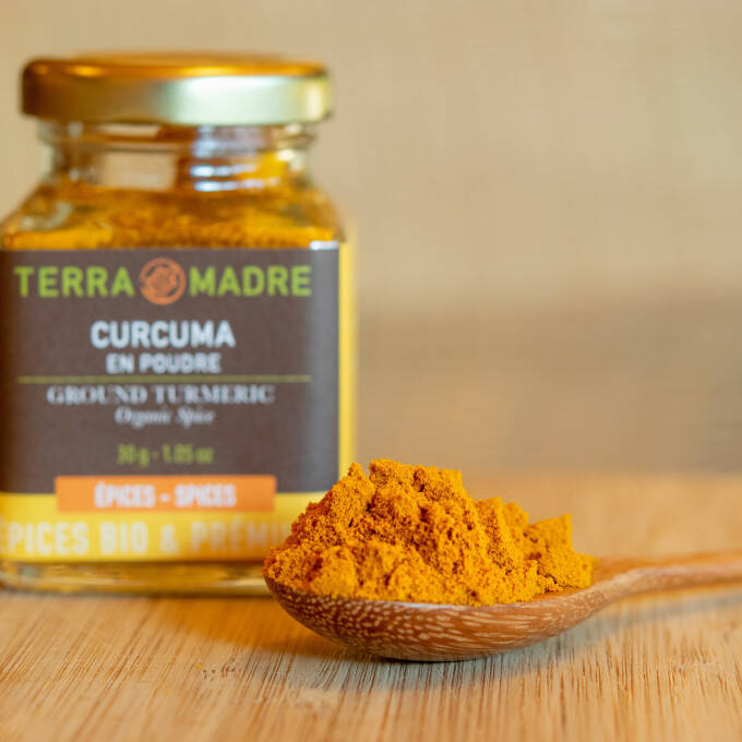 Curcuma bio épices Terra Madre
			                    