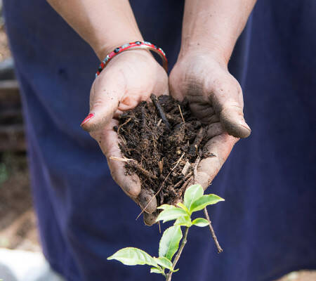 Earth in hands
				                    