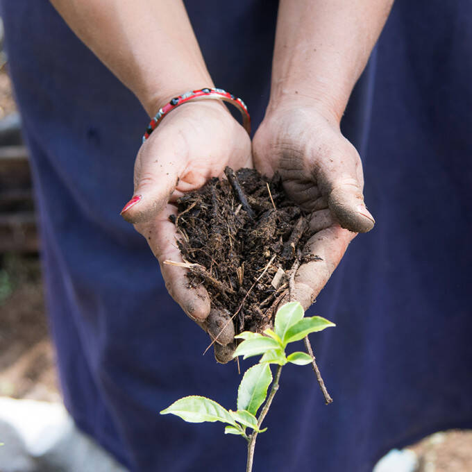 Earth in hands