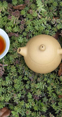 Théière Yixing beige avec tasse de thé
									