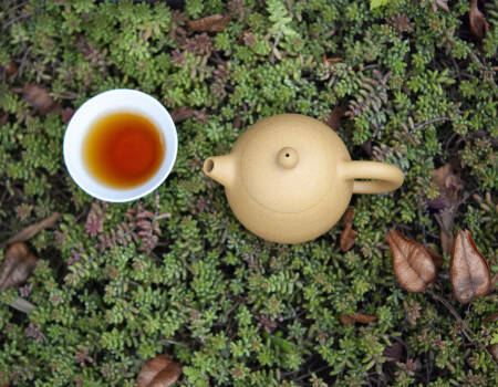 Théière Yixing beige avec tasse de thé
									