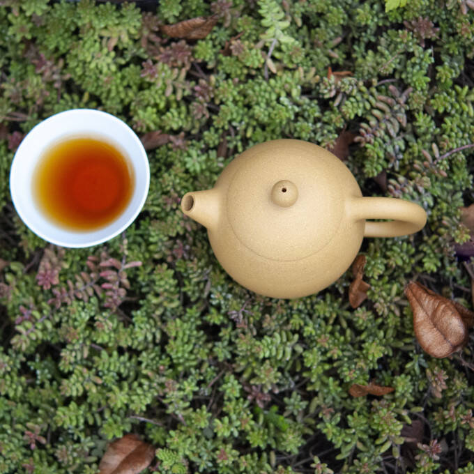 Théière Yixing beige avec tasse de thé
			                    