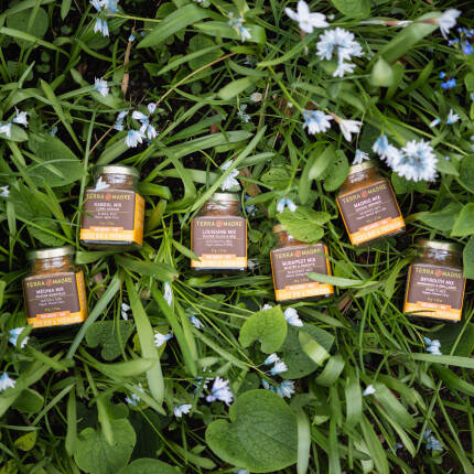 Gamme Mix épices bio Terra Madre
			                    