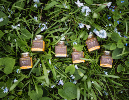 Gamme Mix épices bio Terra Madre
									