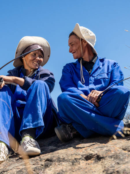Producteurs de rooibos en Afrique du Sud
	                    