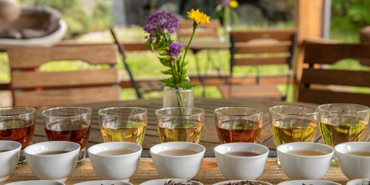 Tea tasting
					                    