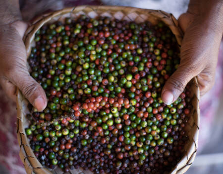 Sri Lankan pepper
									