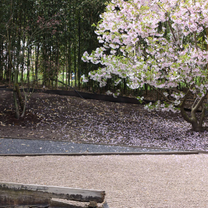 Jardins zen Wittisheim 1