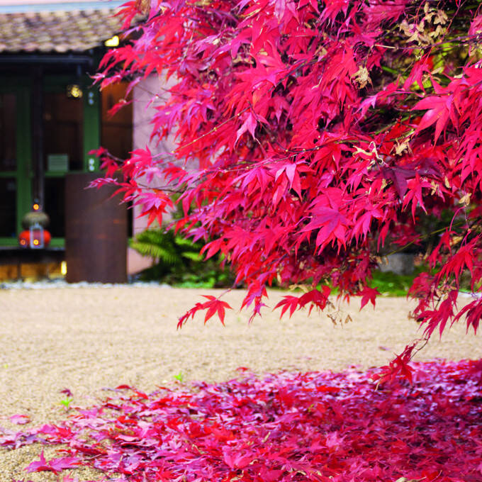 Jardins zen Wittisheim 3