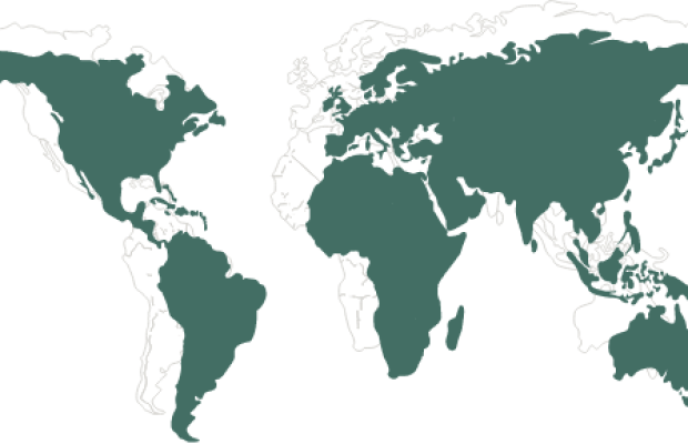 Carte du monde producteurs Fiche Produit
            