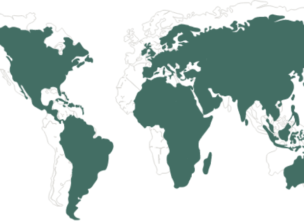 Carte du monde producteurs Fiche Produit
