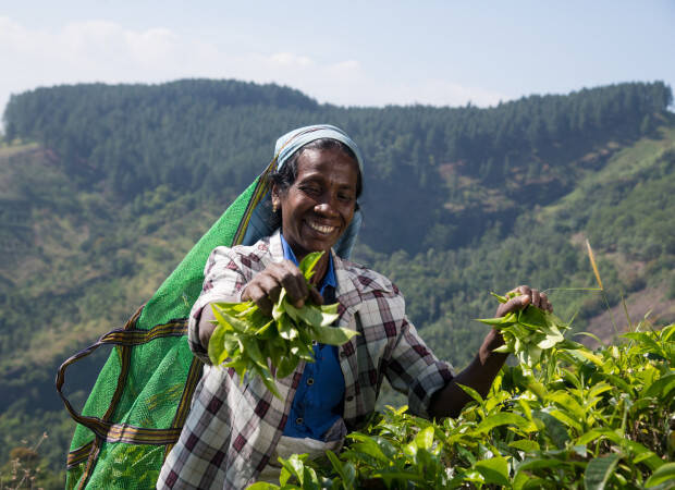 Producteurs - Small Organic Farmer Association