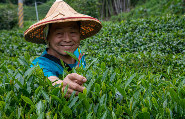 Producteurs - Ever Harvest
            
