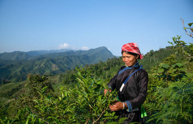 Producteurs - Ban Lien coopérative
            