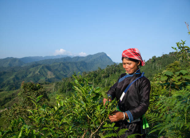 Producteurs - Ban Lien coopérative