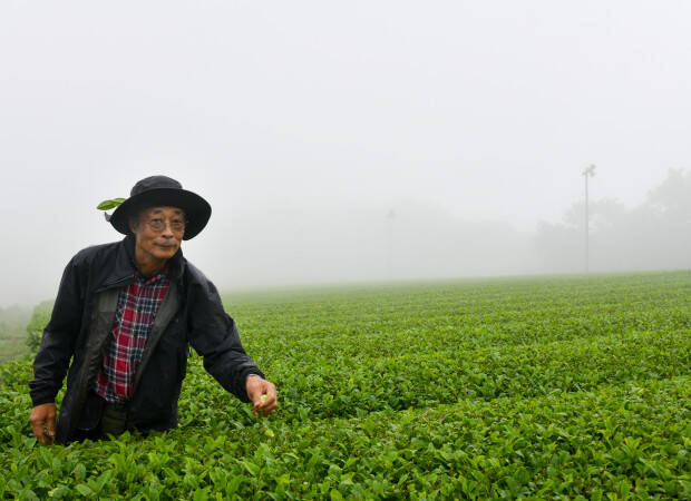Producteurs - Miyasaki