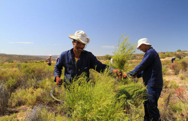 Producteurs - Cooperative de Heiveld
            