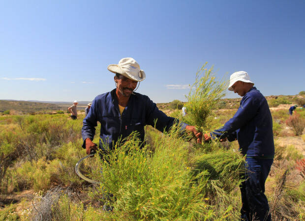 Producteurs - Cooperative de Heiveld