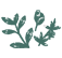 Picto - Illustration mélange de plantes - Vert - Miniature
