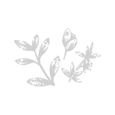 Picto - Illustration mélange de plantes - Gris
                                    