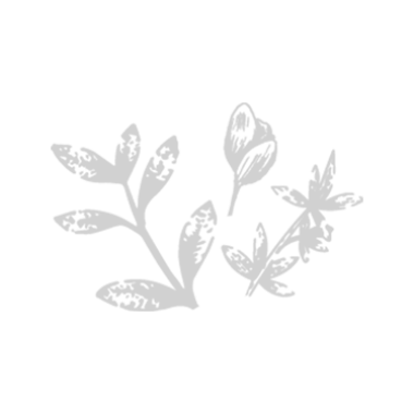 Picto - Illustration mélange de plantes - Gris
                                  