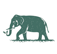 Picto - Thés de Thaïlande - Elephant 2 - Vert - Miniature