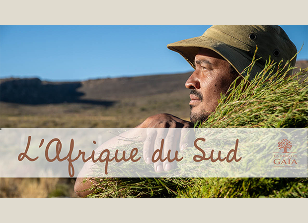 Vidéo Voyage en Afrique du Sud Rooibos